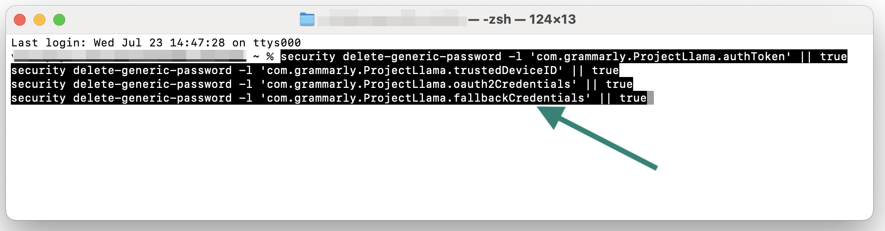 Terminal showing Grammarly credential deletion commands